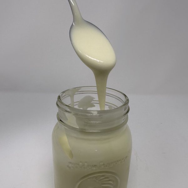 Keto Condensed Milk 2KrazyKetos